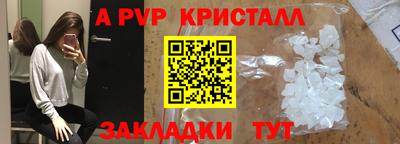 дмт Кингисепп