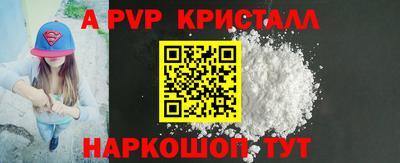 дмт Кингисепп