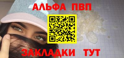 дмт Кингисепп