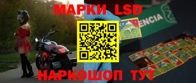 дмт Кингисепп