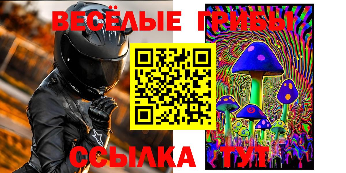 Псилоцибиновые грибы GOLDEN TEACHER  купить закладку  Корсаков  Вход с VPN 